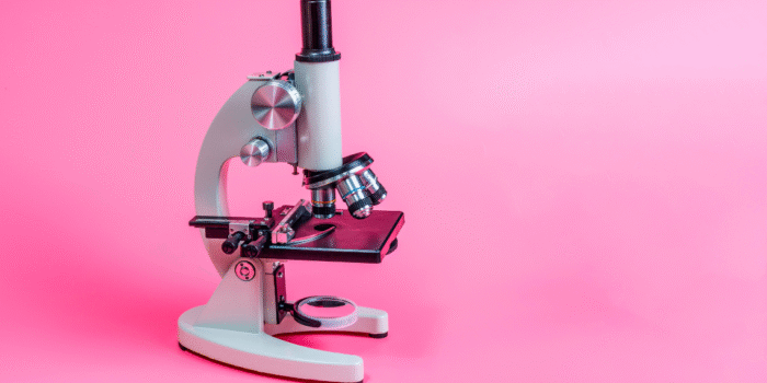 Face Mites: The Invisible Company on Your Pores and skin
