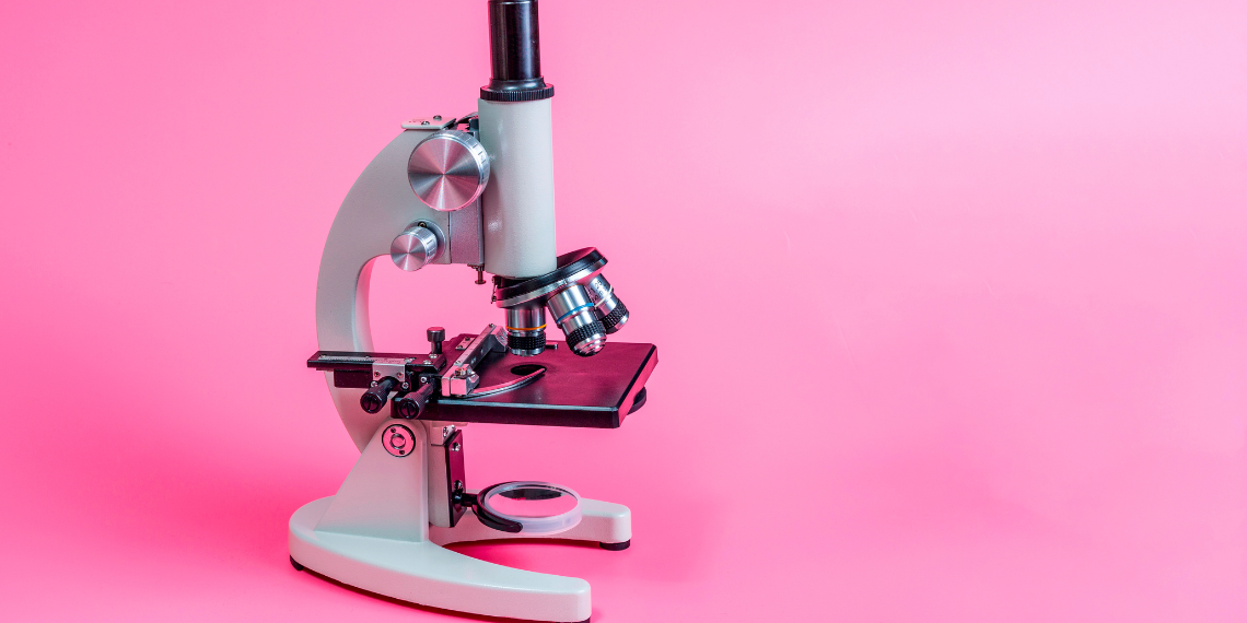 Face Mites: The Invisible Company on Your Pores and skin