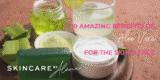 Aloe Vera Pores and skin Advantages – How To Use For Your Face and Physique