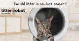 Litter-Robotic 4: What To Know Earlier than You Purchase